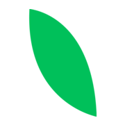 Jivo